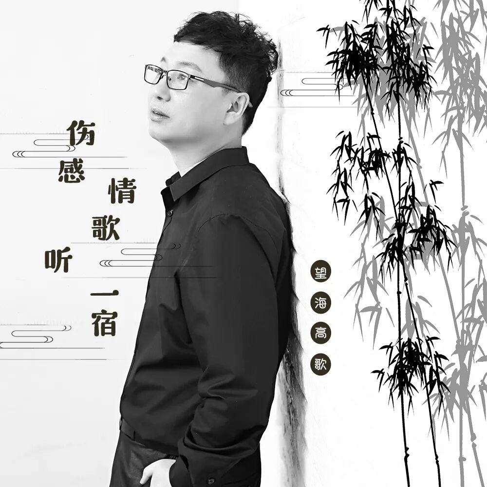 最新歌曲 望海高歌 伤感情歌听一宿 国际头条