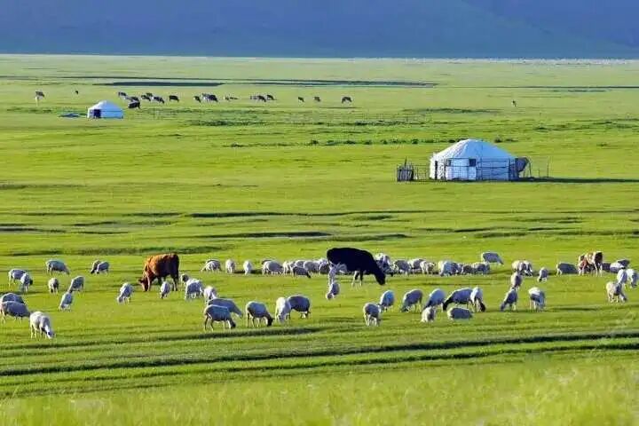 呼和浩特大漠、神奇響沙灣、希拉穆仁草原、成吉思汗陵精選5日-旅遊找鼎運-輕鬆省放心玩【TourOne鼎運旅遊】