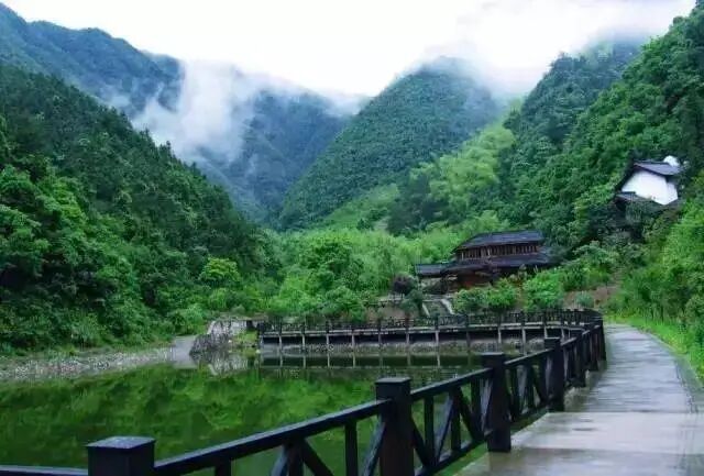 公告：5月6日起大奇山国家森林公园向桐庐市民限时免费开放！_景区