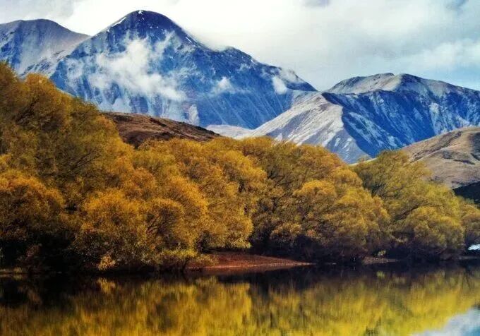 新西兰] 初秋醉美的纯净画卷(图)