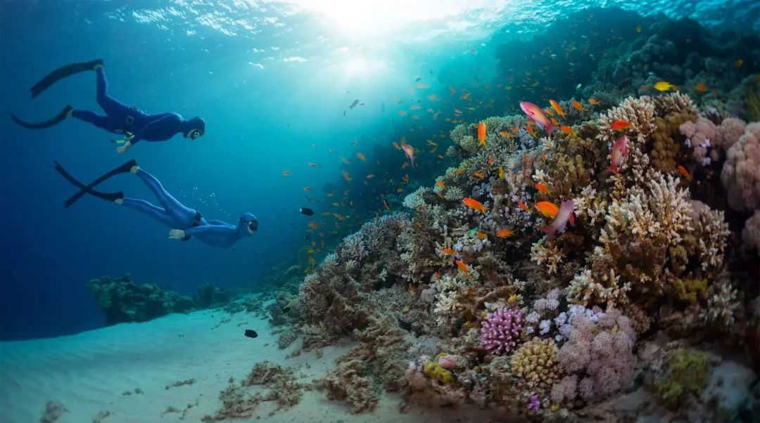 taman nasional bunaken | BNI Life Insurance