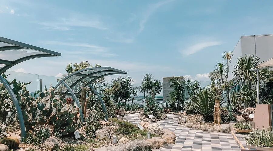 Cactus Garden (新加坡) - 旅游景点点评- Tripadvisor