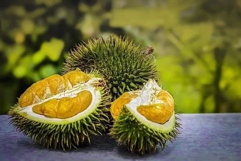 马来西亚榴莲出口额5年翻一番，中国为其最大市场| 国际果蔬报道