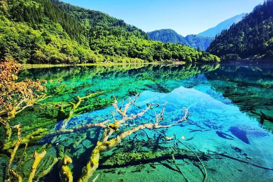 中国成都九寨沟- YuuTours