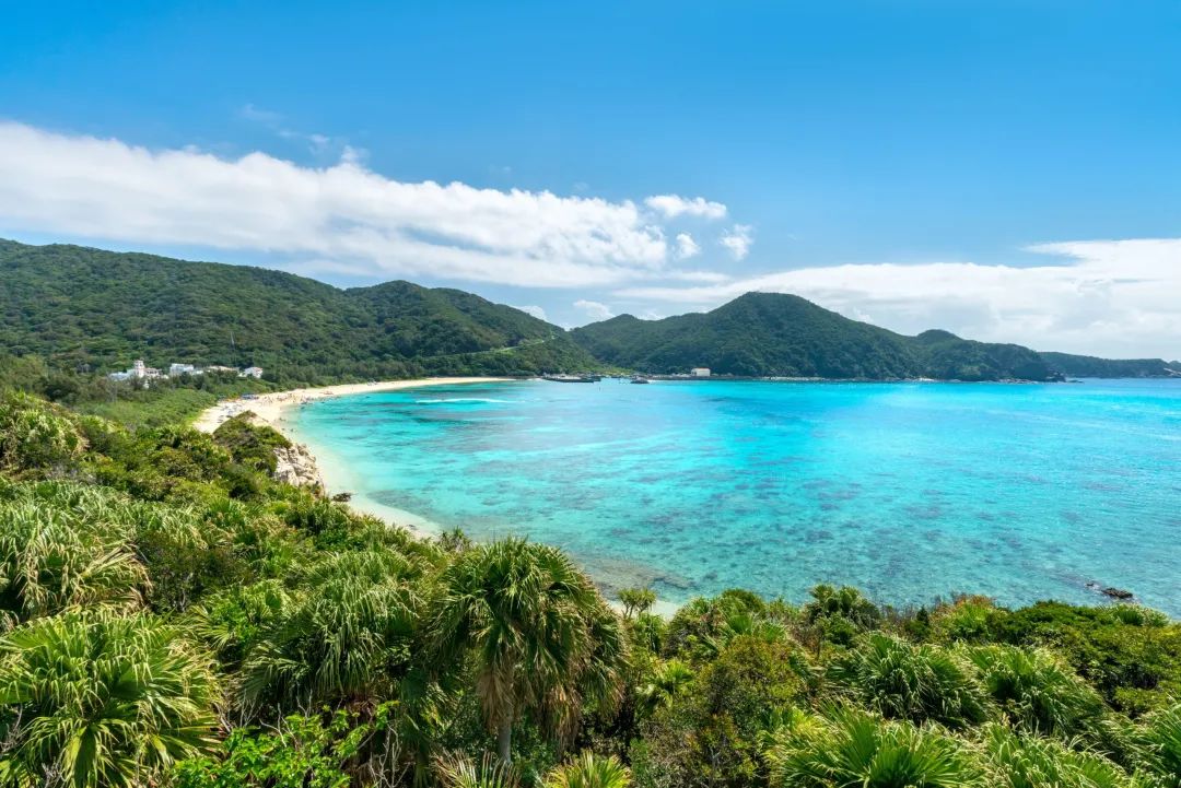 A traveller's guide to Okinawa, land of longevity