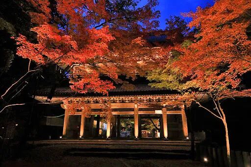 永源寺 紅葉