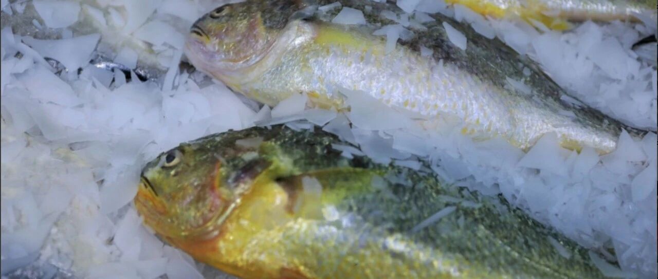 买鱼花了10元，治病花了10万，还搭上一截手指！这个教训太贵了！