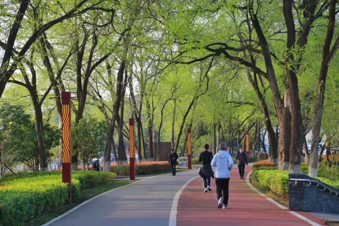 最好的养生方式是什么
