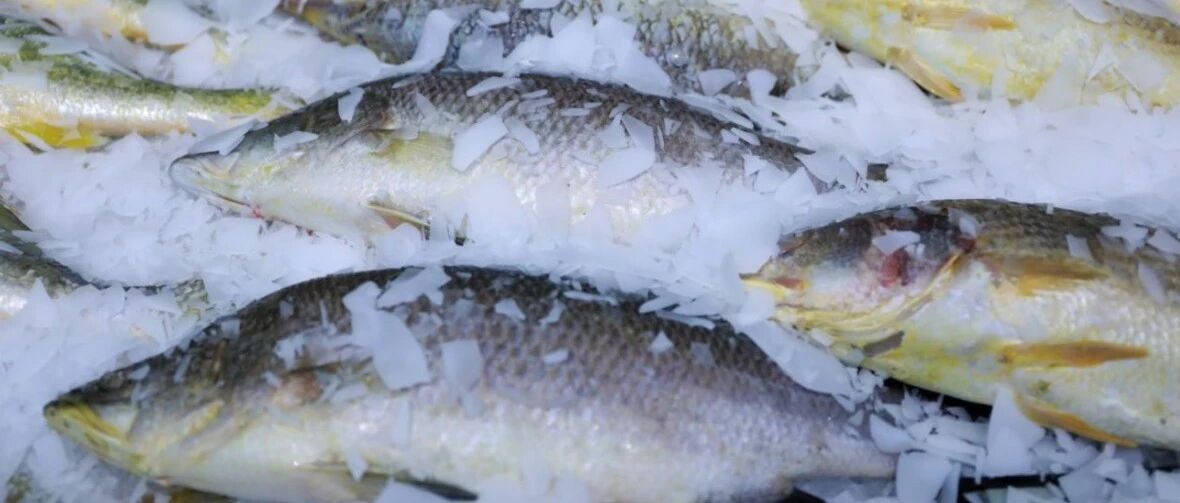 张文宏：它是抵抗病毒最关键的食物！营养专家：这10种食物最优质！