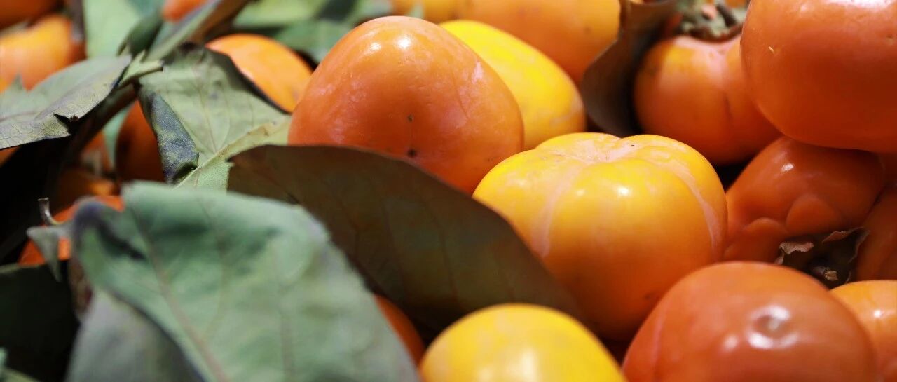 都辟谣85年了，“食物相克”还有人相信！