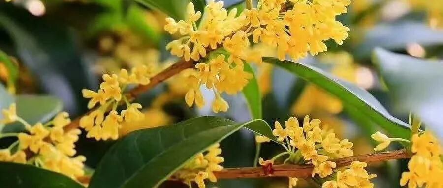 有一种儿童叫离异后的留守儿童