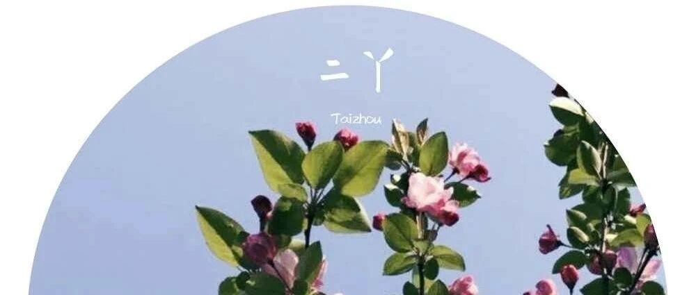 那个2008年高考交白卷的男生，后来怎样了？