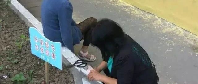 有多少老师正偷偷爱着你的孩子！刷爆朋友圈的偷拍照，看哭了