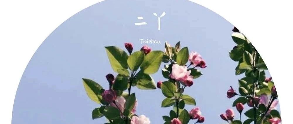 把儿子养废后，我才明白：得了“空心病”的孩子，永远学不会努力