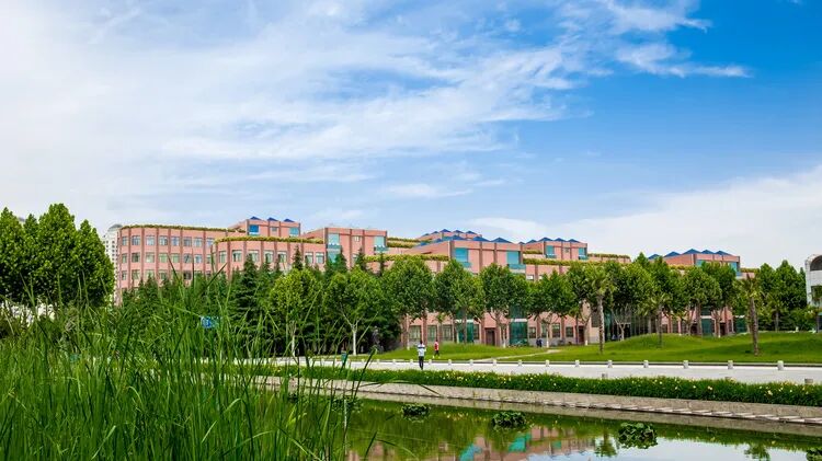 中南大学就业信息网