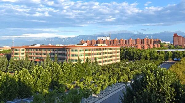 中南大学就业信息网