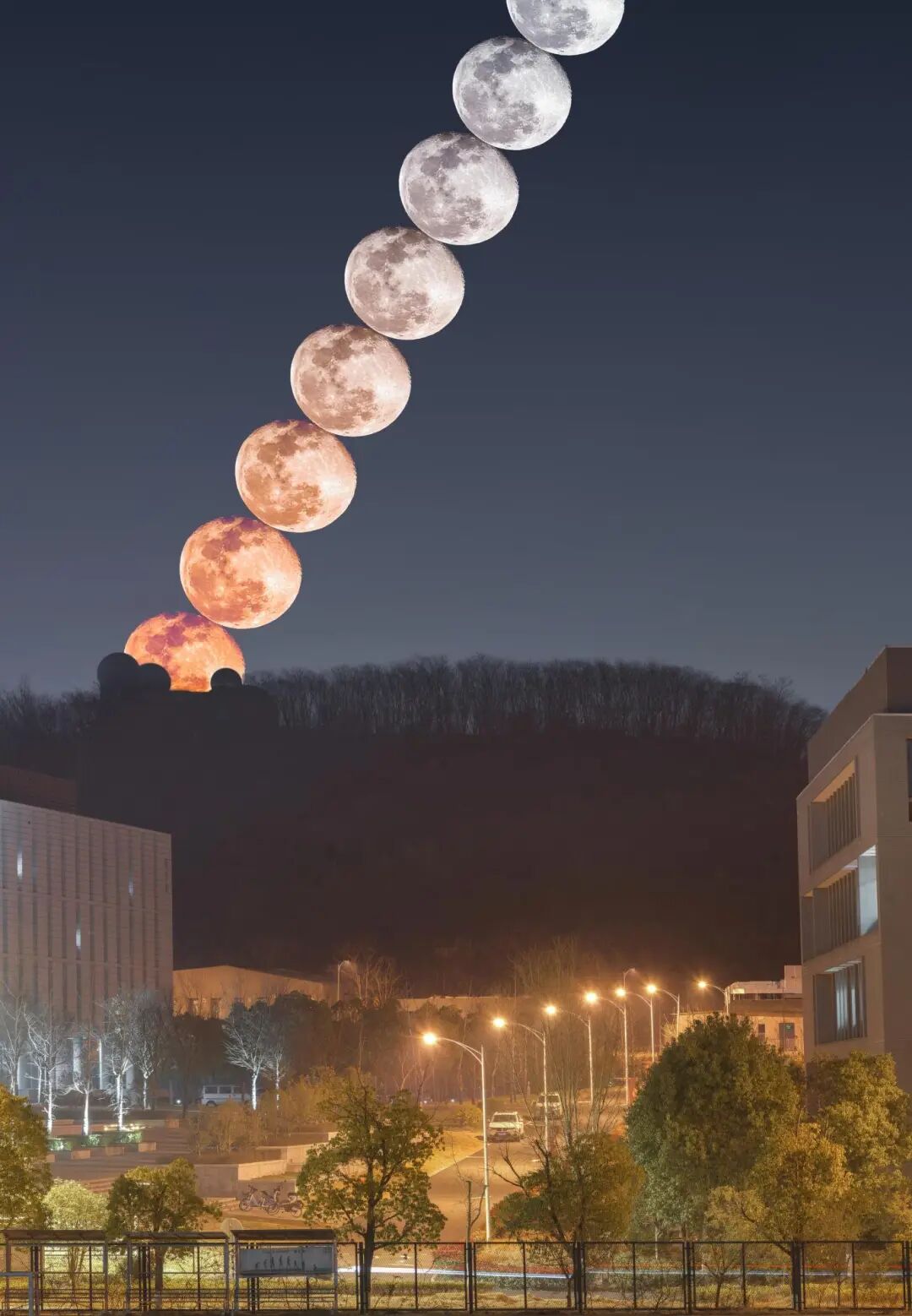 夏嗣禹+602022240137-化学化工学院.jpg