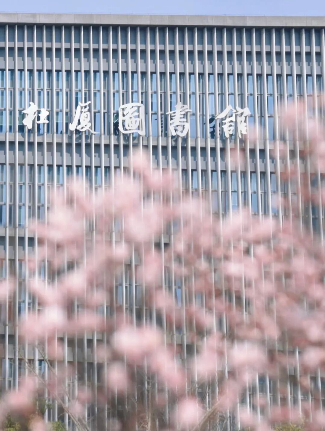 吴凯渊.jpg