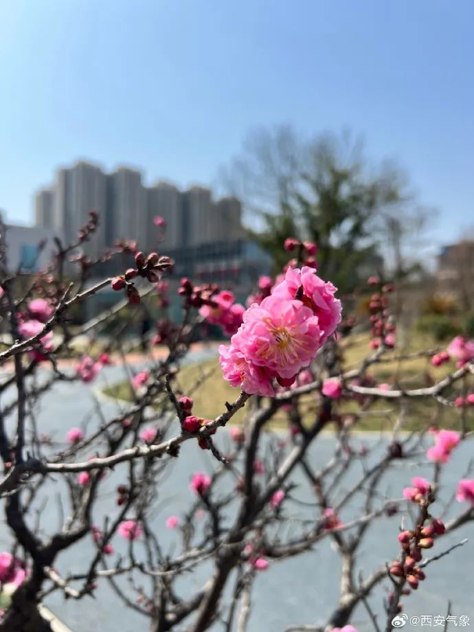 2024年03月29日 西安天气