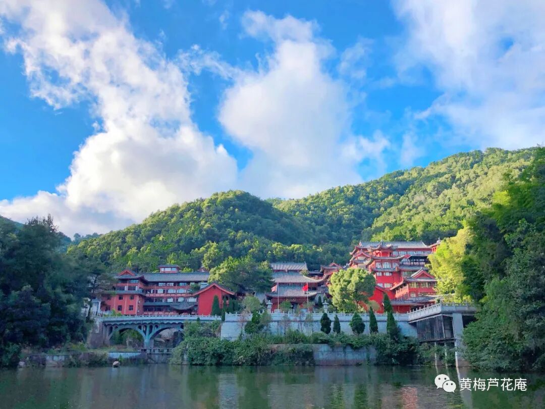 黄梅芦花庵暂停对外开放的通知