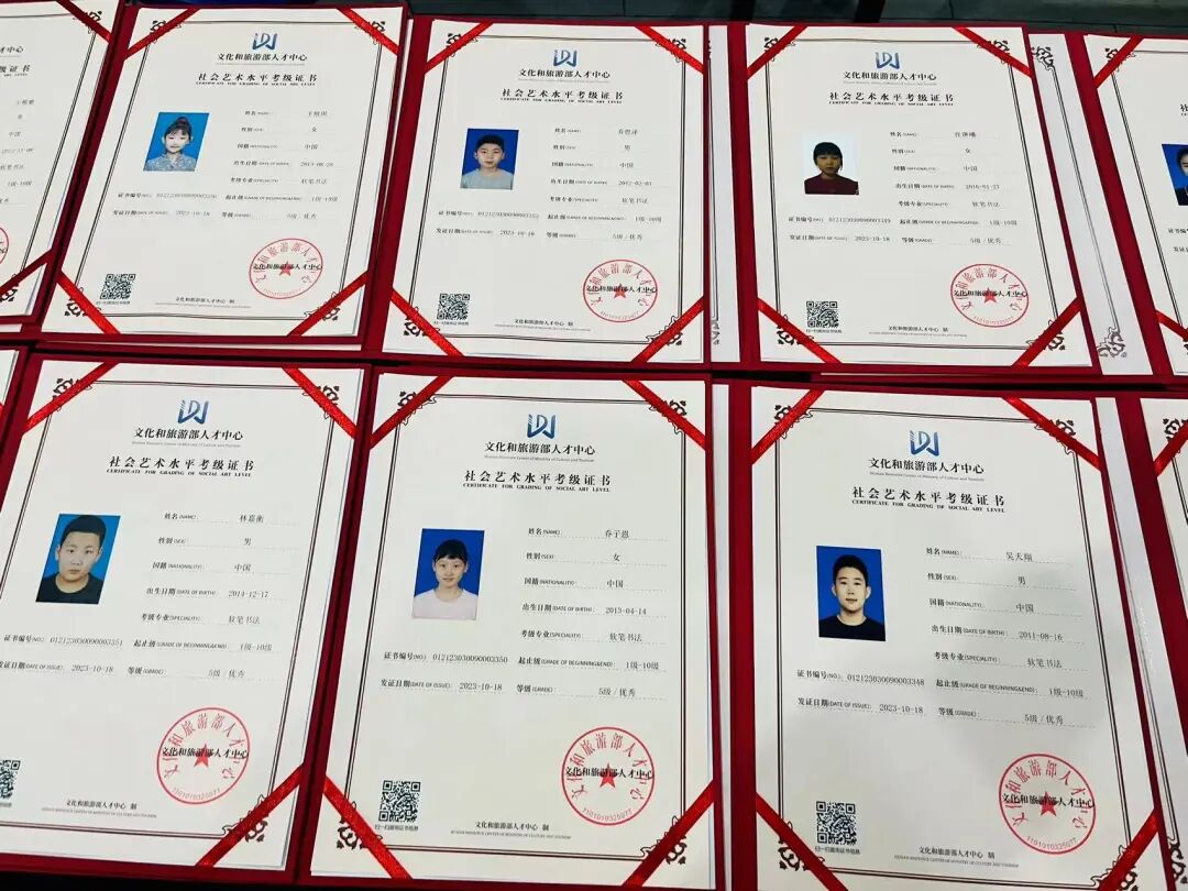 藏·喜讯丨这个机构收获“国”字头大奖(图16)