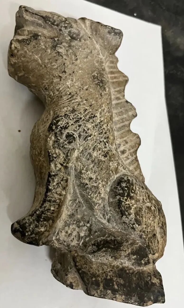 5月30日，天下收藏竞买会“放漏”啦！(图11)