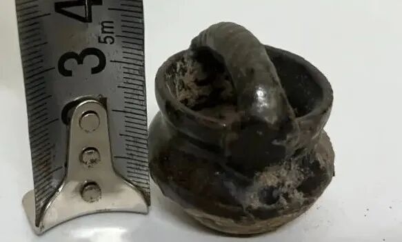 5月30日，天下收藏竞买会“放漏”啦！(图40)