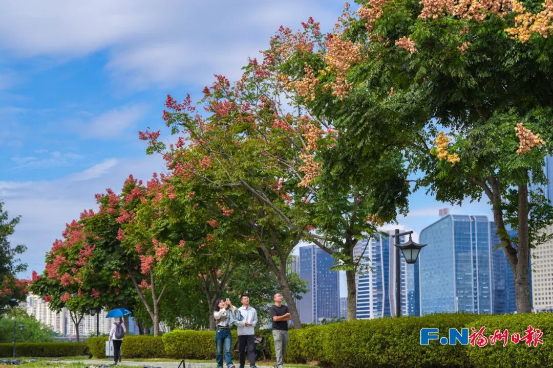 美得像春天！被福州的“藍綠”治愈了！