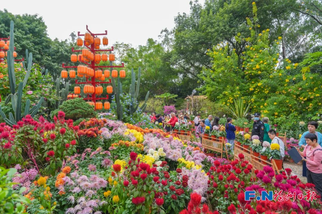 美得像春天！被福州的“藍綠”治愈了！