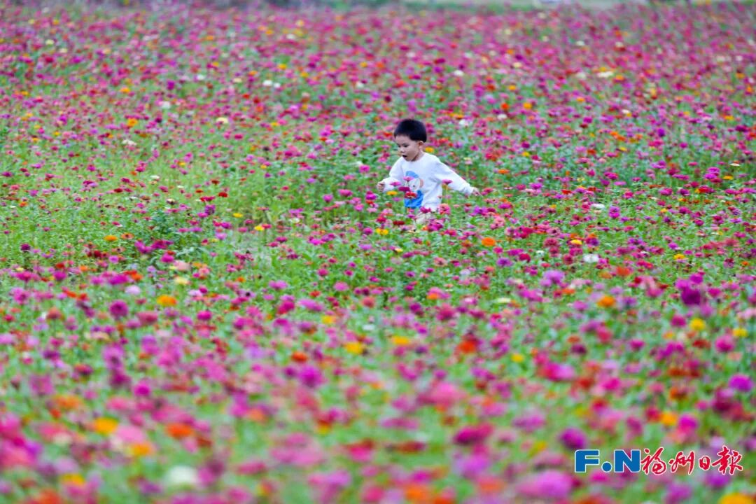 美得像春天！被福州的“藍綠”治愈了！