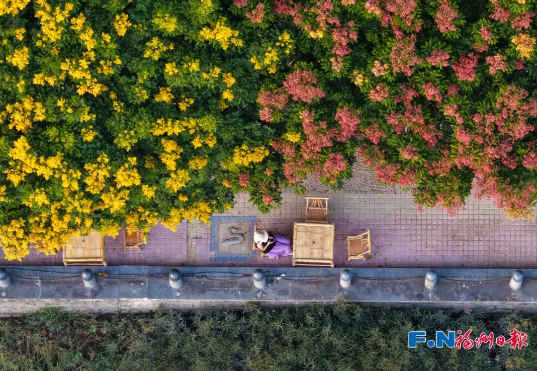 美得像春天！被福州的“藍綠”治愈了！