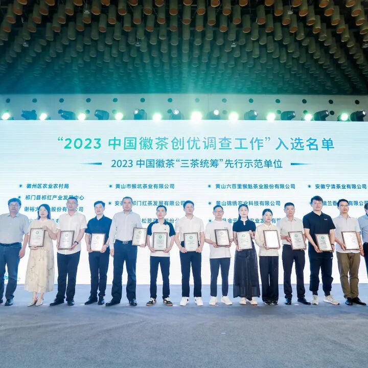 皖美徽茶 香飘庐州|2024中国徽茶春季展销会暨国际