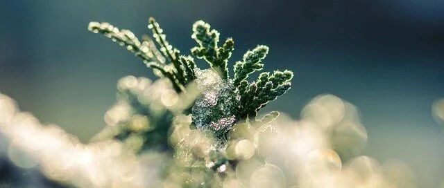 节气养生丨今日霜降，阳气敛藏天渐寒，抓住秋天的尾巴好保健！学点规矩顺利入冬