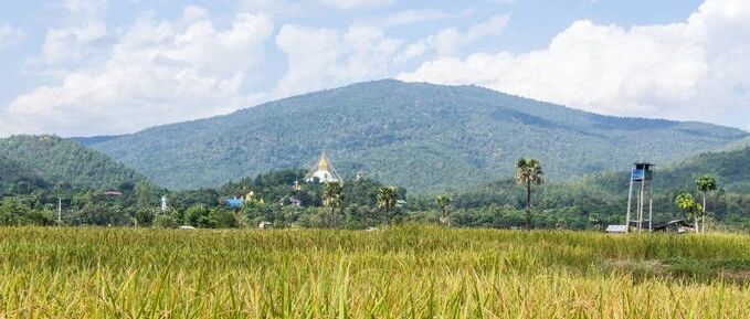 人体内的寒湿分5级，超过3级就危险了！这防湿邪的“3招2方”快学会~