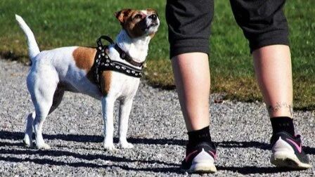 它是最适合老年人的冬季锻炼，100岁都能做！别再早起出门散步了，小心锻炼伤身