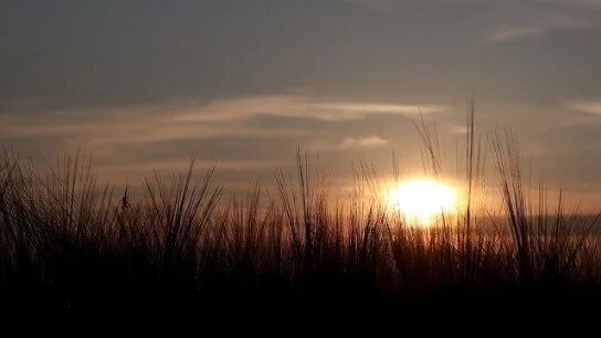 节气养生丨今日立冬，阳气不敛，开春易病！学好规矩好过冬