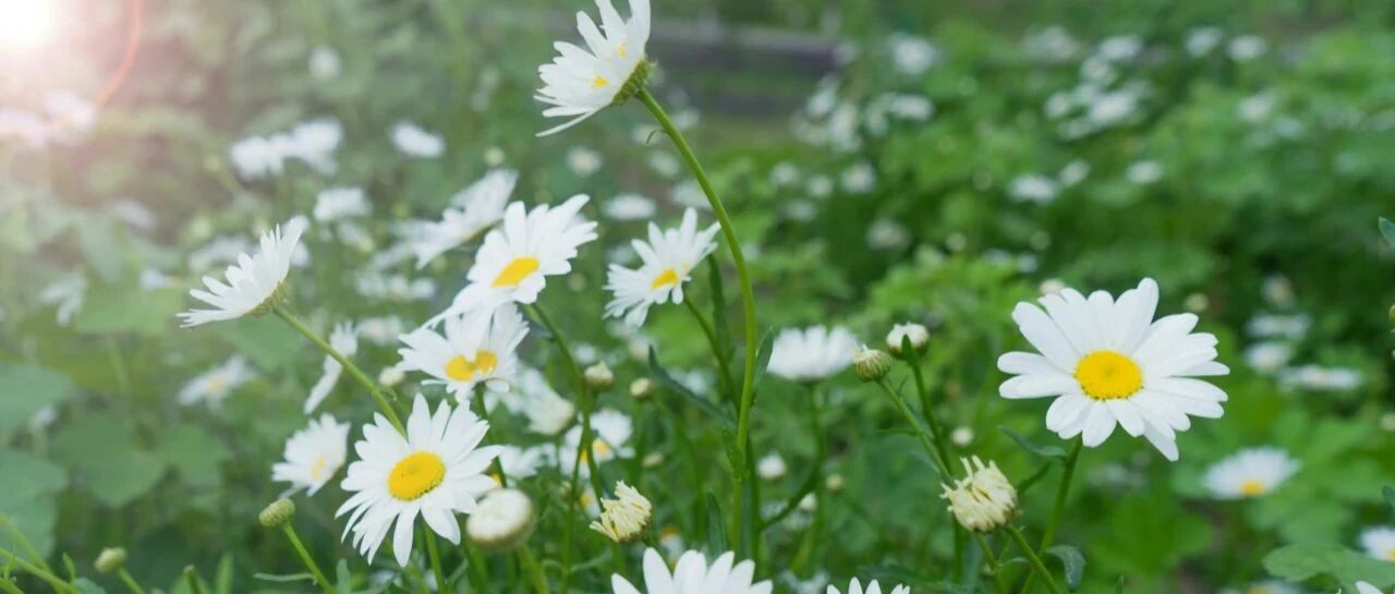 夏天最易生病的40天快来了，无论男女，学点规矩保健康！