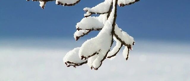 节气养生丨今日小寒，最冷的时候到了！防止寒湿邪气伤人，这些方法要牢记！