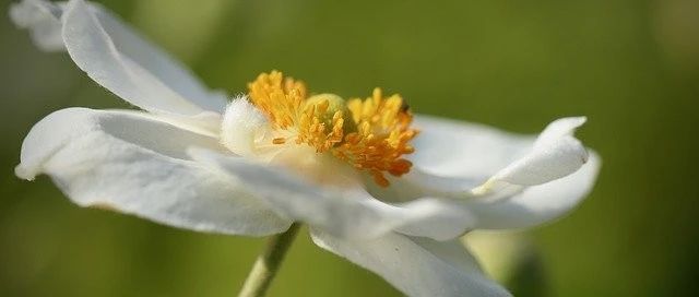 节气养生丨今日立夏，一年里阳气最盛的季节，正是养生关键期!学点规矩不吃亏~