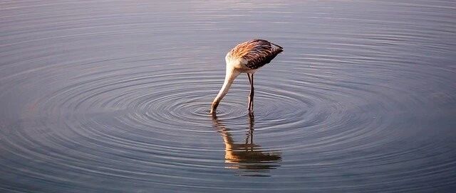 人类寿命或可达150岁？！为什么多数人都活不到？值得反思~