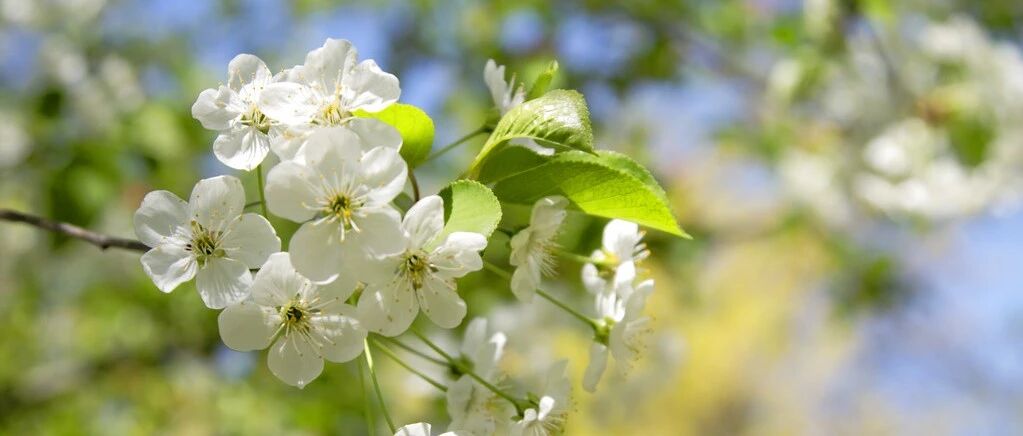 节气养生丨今日立春，冰雪消融、春回大地！健康地基应该怎么打？快学学~