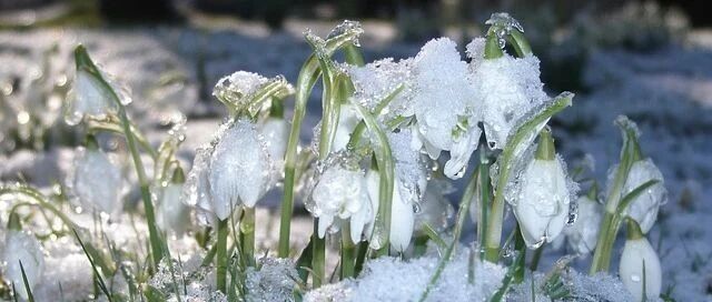 节气养生丨今日小雪，寒流来袭，阳气封藏阴气渐胜，学点规矩保健康！