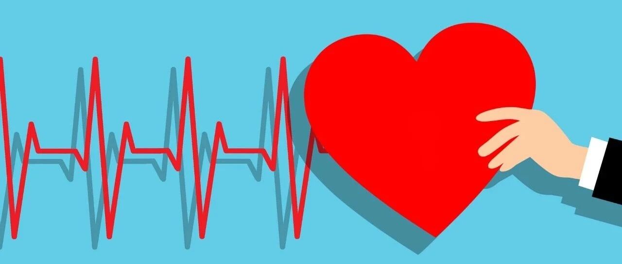 营养片一堆，不如食谱一张！大脑、眼睛、腿…原来需要这些食物，常吃身体倍棒