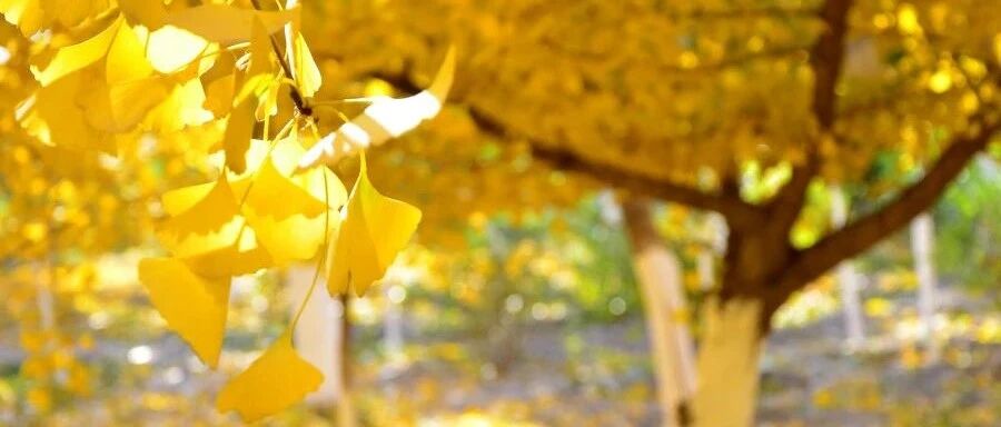 末伏不足10天，阴阳变换的关键时期，保住健康的方法很简单，记住这几点~