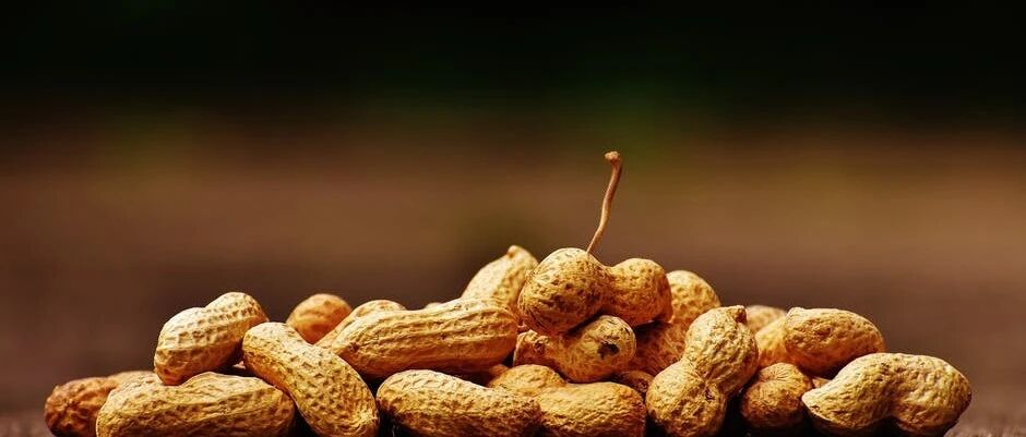 这种廉价小果是血管最爱！每天吃四颗，中风、心梗都跑远了！是真正的“长寿果”