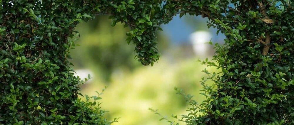 养好阳气胜吃补药！常按五个“生阳穴”，一年少生病