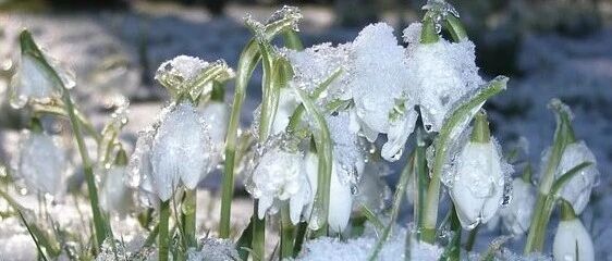 明日“进九”啦！一年中最危险的日子来了！哪些事情不能做，要知道！学点规矩，健康过冬~