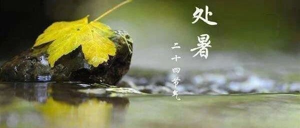 节气养生丨今日处暑，湿未消燥又起，懂点规矩不吃亏！