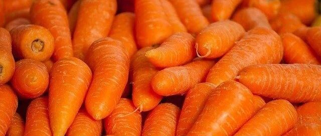 它是秋季小人参，李时珍称它“菜蔬之王”，这样吃， 护心通血管，效果太好~