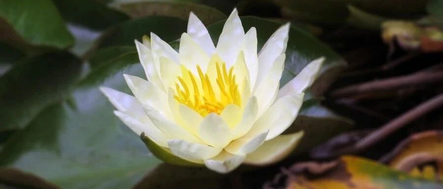 想要夏无病，日子就得“热”着过!注意这几个要点，远离疾病困扰~